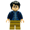 Harry Potter, hp544, LEGO® Harry Potter™ Minifigure