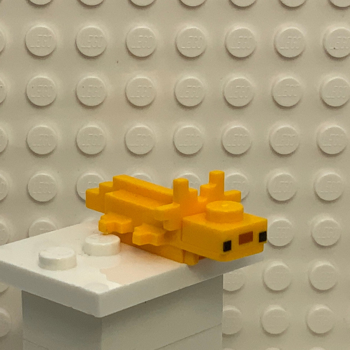 Minecraft Axolotl, mineaxolotl01